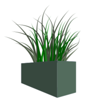 Grass in square planter