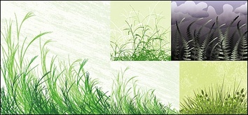 Flowers & Trees - Grass material vector 