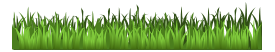 Grass Only
