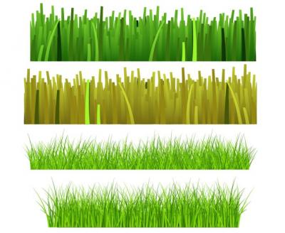 Nature - Grass Vector 