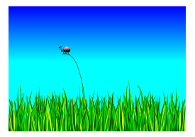 Animals - Grass with bug 