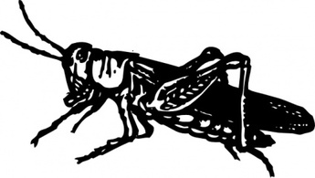 Grasshopper clip art Preview