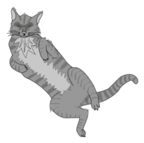 Cartoon - Gray cat 