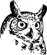 Animals - Great Owl clip art 