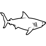 Great White Shark Free Vector 