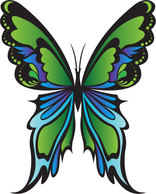 Animals - Green Butterfly Vector 