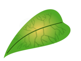 Green Leaf