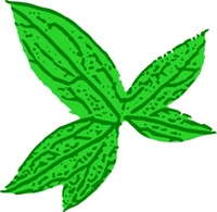 Green Leaf clip art