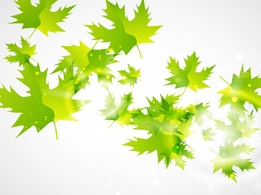 Backgrounds - Green Leaf Vector 