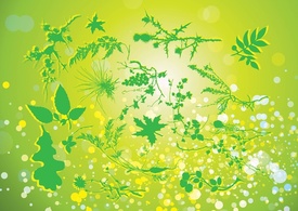 Nature - Green Nature Vector 