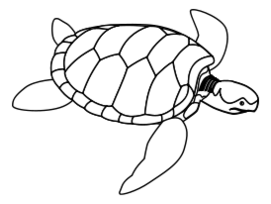 Animals - Green sea turtle line art 