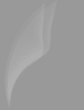 Grey Vector Background 