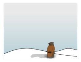 Holiday & Seasonal - Groundhog Emerging 