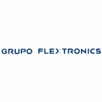 Grupo Flextronics Preview