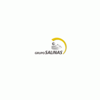 Television - Grupo Salinas 