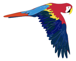 Guacamaya Preview