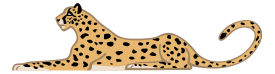 Guepard