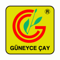 Finance - Guneyce Cay 