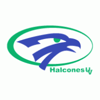 Halcones de Xalapa