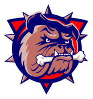 Hamilton Bulldogs Preview