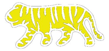 Hamilton Tigers