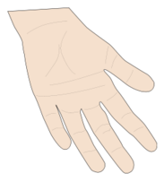 Hand