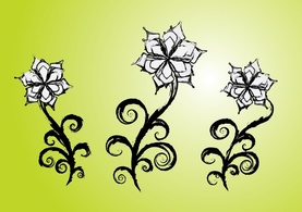 Hand Drawn Flowers