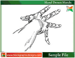 Human - Hand Drawn Hands 