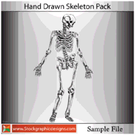 Hand Drawn Skeleton