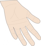 Hand Palm clip art