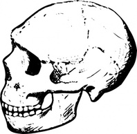 Human - Head Dead Black Skull Human White Bones Lineart Skulls 