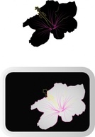 Flowers & Trees - Hibiscus clip art 