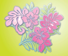 Hibiscus Flowers Vector Preview