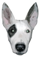 HighRes, Bullterrier head