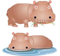 Animals - Hippopotamus vector 4 