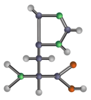 Histidine (amino acid) Preview