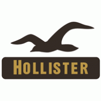 Hollister Co.