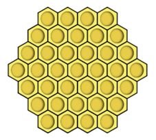 Honeycomb