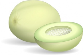 Honeydew Melon clip art Preview