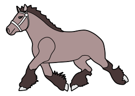 Horse