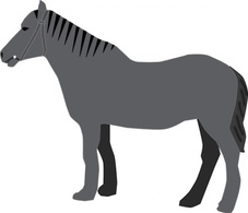 Horse clip art