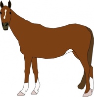 Animals - Horse clip art 