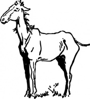 Animals - Horse clip art 