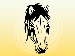Animals - Horse Head Vector 