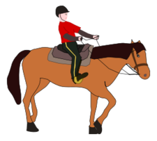 Horse Riding Lesson Preview