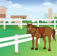 Animals - Horse Vector 16 