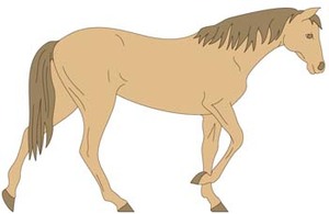 Animals - Horse Vector 5 