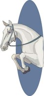 Horse Vector 7