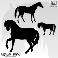 Horses Silhouettes