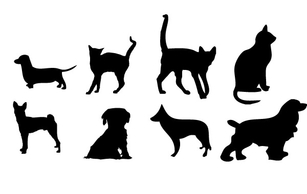 Animals - House animals Vector graphics 